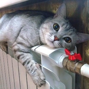 Спектр-сварка