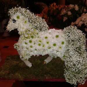 Агава
